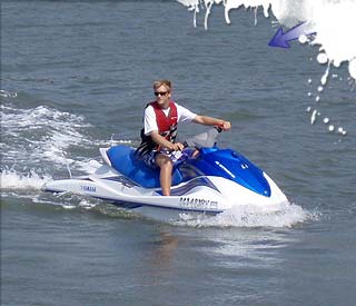 Jetski Rentals - Charleston Safari Tours