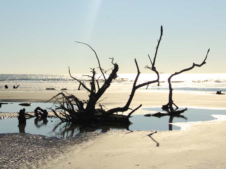 Large Party Group Charters