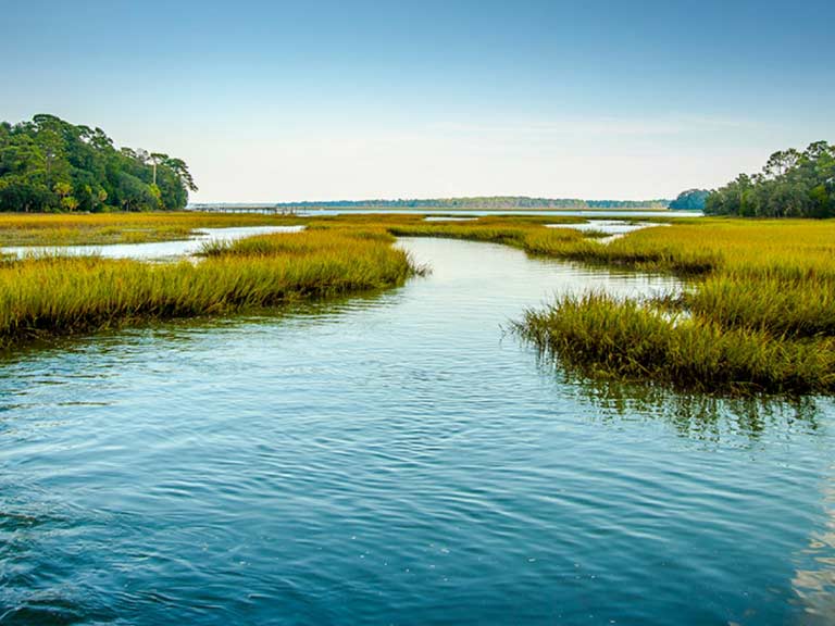 Large Party Group Charters